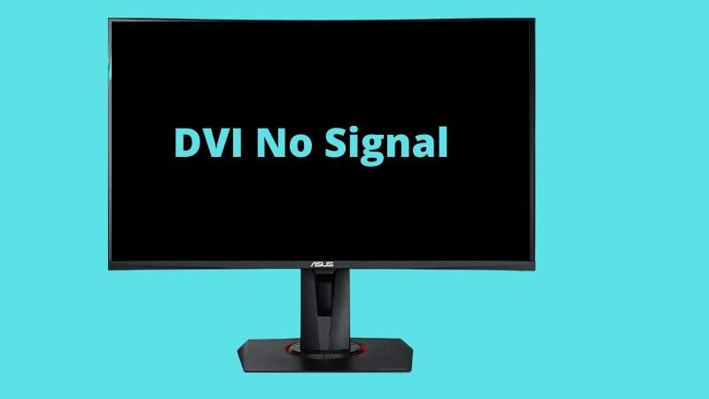 Asus Monitor DVI No Signal